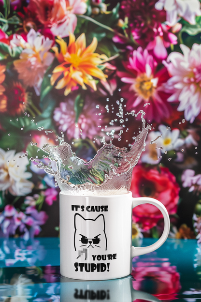 Grumpy-Mug_Pixl_V4_YOURE_STUPID