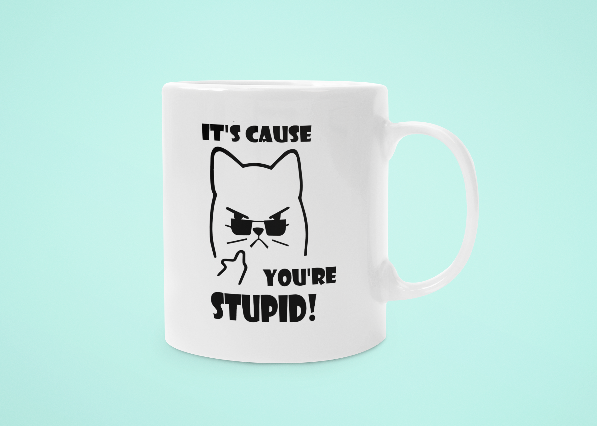 Grumpy-Mug_V3_YOURE_STUPID